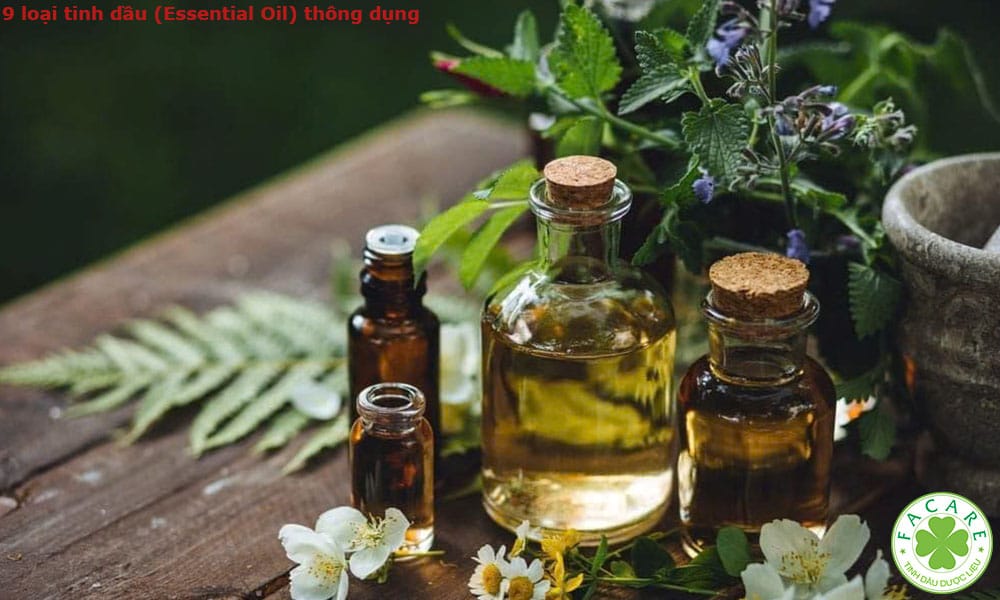 9 loại tinh dầu (Essential Oil) thông dụng 1
