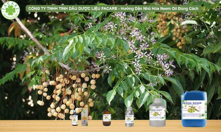 Hướng dẫn nhũ hóa Neem Oil đúng cách 1