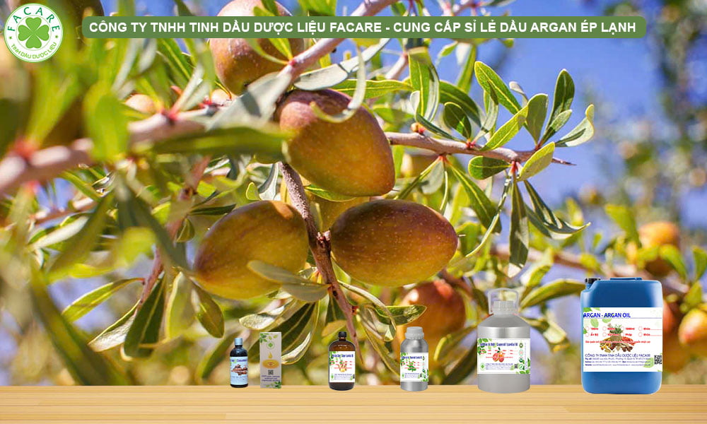 CUNG CẤP SỈ LẺ DẦU ARGAN ÉP LẠNH