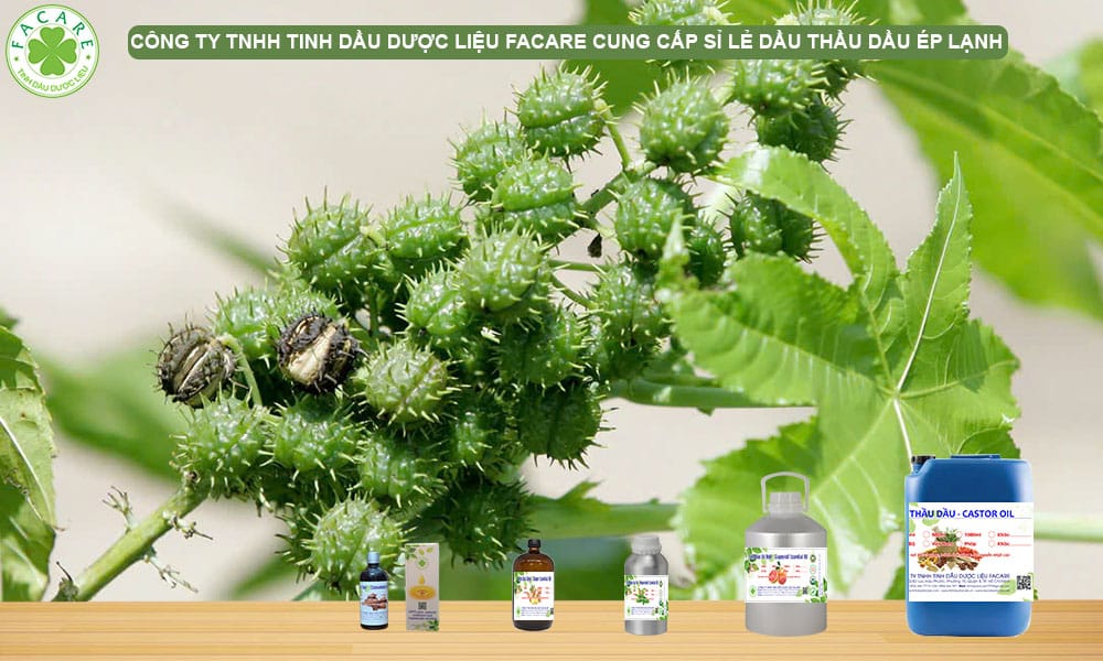 CUNG CẤP SỈ LẺ DẦU THẦU DẦU ÉP LẠNH