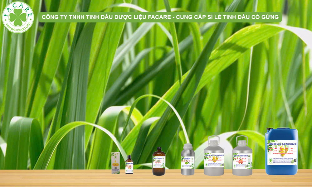 CUNG CẤP SỈ LẺ TINH DẦU CỎ GỪNG GINGER GRASS