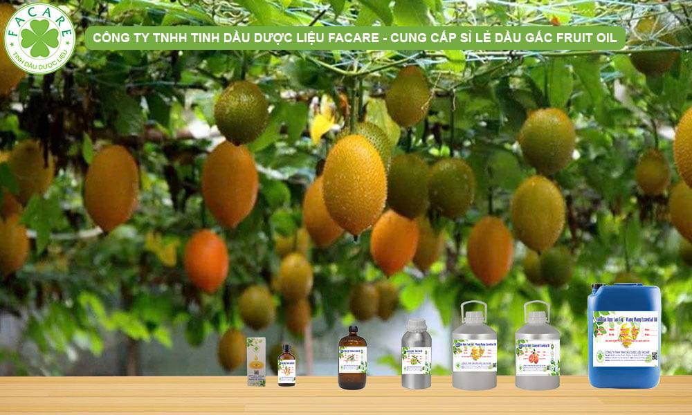 CUNG CẤP SỈ LẺ TINH DẦU GẤC FRUIT OIL