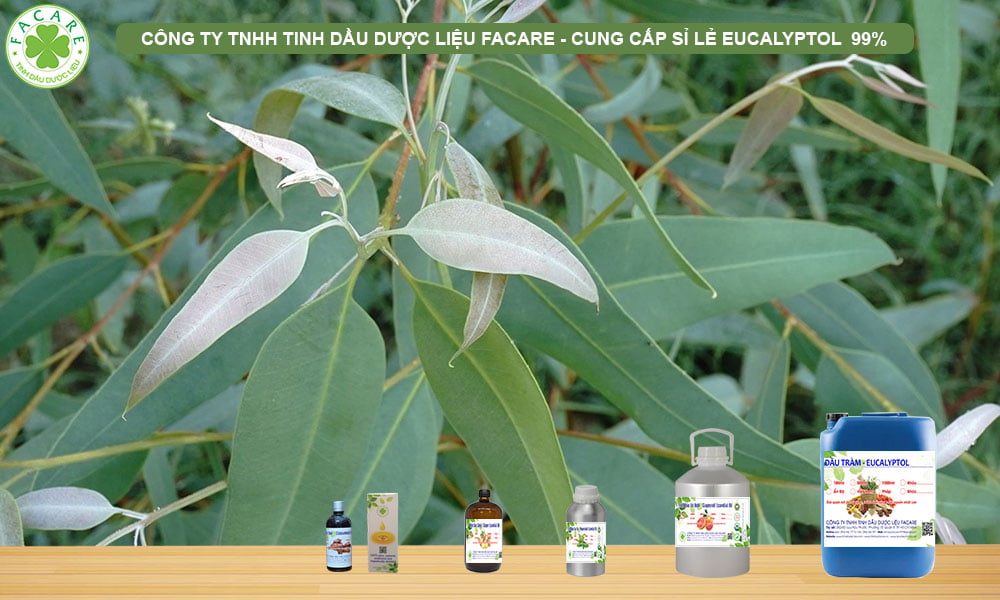 CUNG CẤP SỈ LẺ eucalyptol