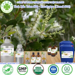 Tinh Dầu Tràm 60% - Eucalyptus 60% Giá Sỉ