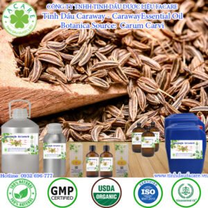 Tinh Dầu Caraway - Caraway Essential Oil