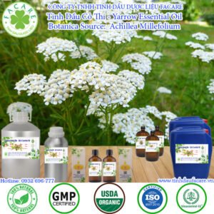 Tinh Dầu Cỏ Thi - Yarrow Essential Oil