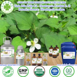 Tinh Dầu Diếp Cá - Houttuynia Cordata Essential Oil