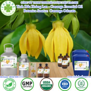 Tinh Dầu Hoàng Lan - Cananga Essential Oil