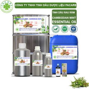 Tinh Dầu Rau Răm 1 Lít