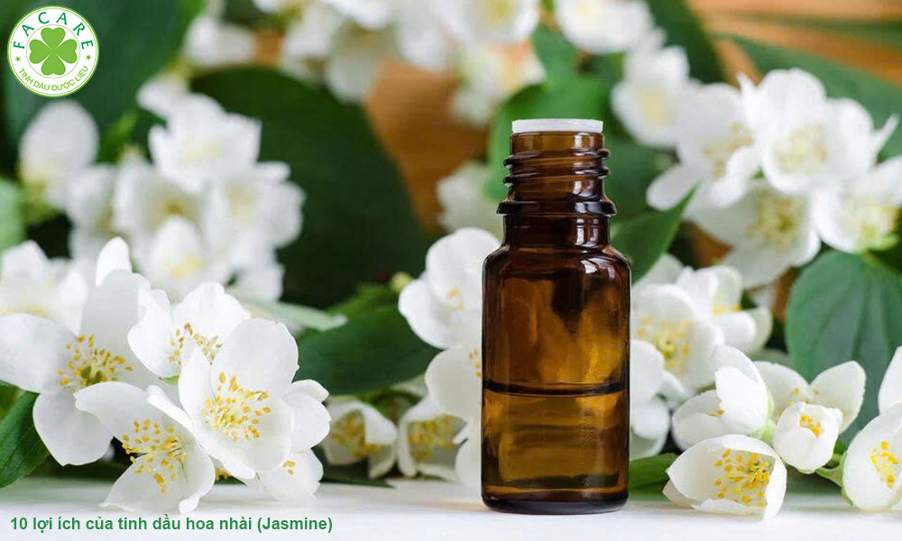 10 lợi ích của tinh dầu hoa nhài (Jasmine) 1