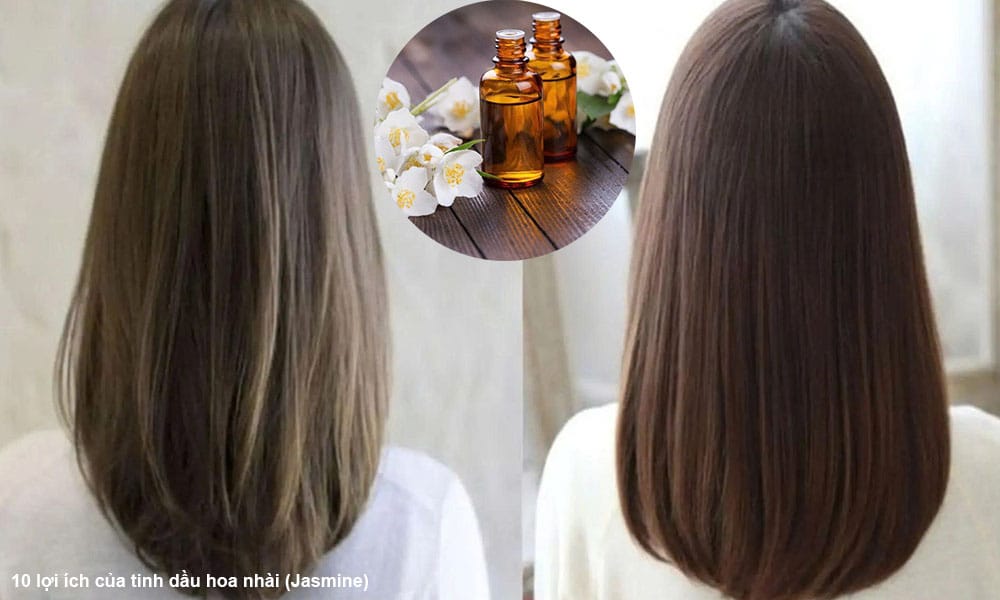 10 lợi ích của tinh dầu hoa nhài, lài (Jasmine)