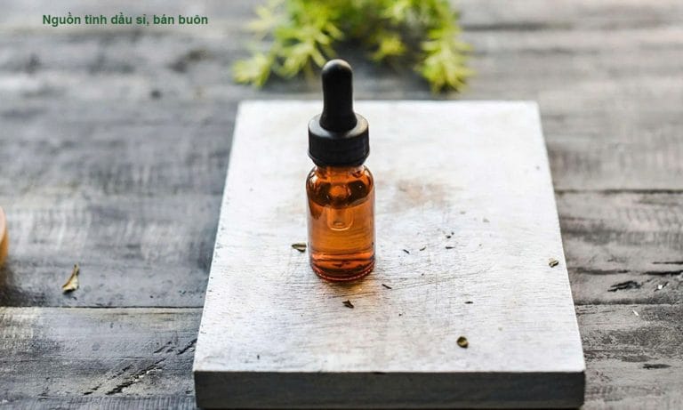 Nguồn tinh dầu sỉ, bán buôn