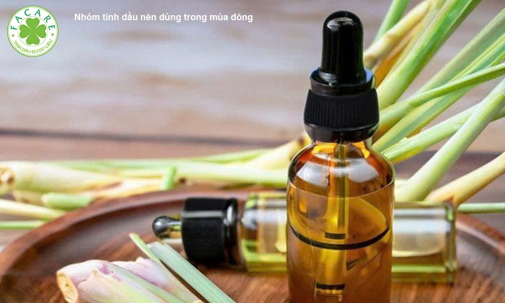 Nhóm tinh dầu nên dùng trong mùa đông 1