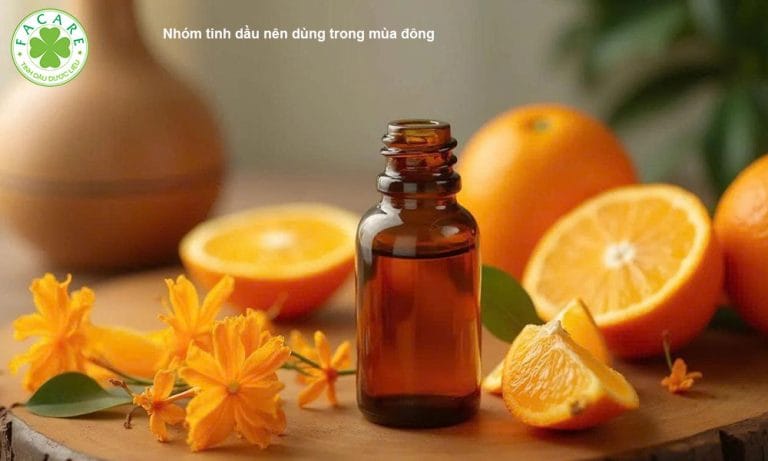 Nhóm tinh dầu nên dùng trong mùa đông 2