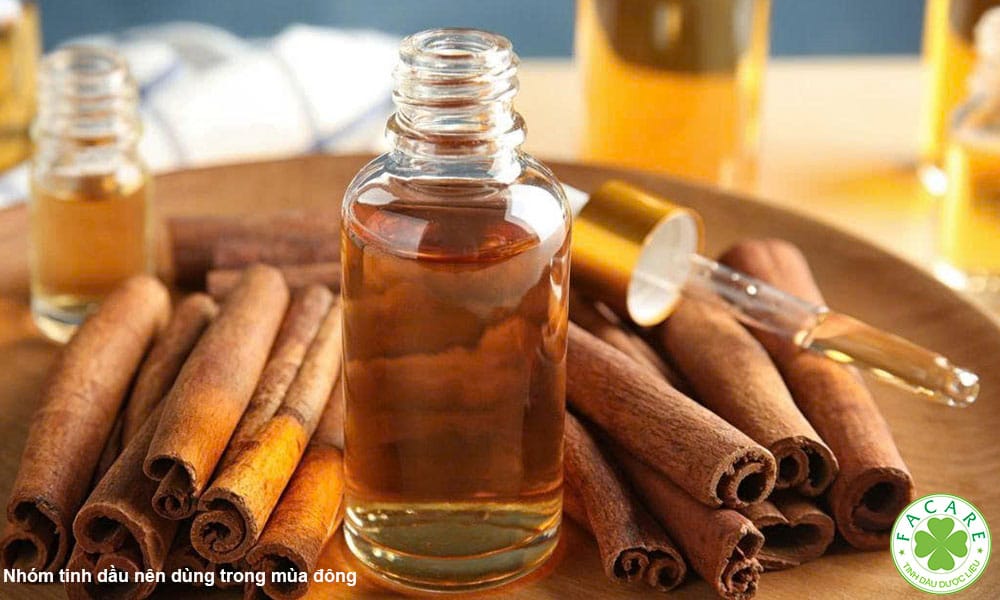 Nhóm tinh dầu nên dùng trong mùa đông