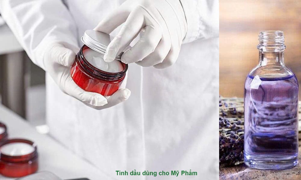 Tinh dầu dùng cho Mỹ Phẩm cosmetics 2