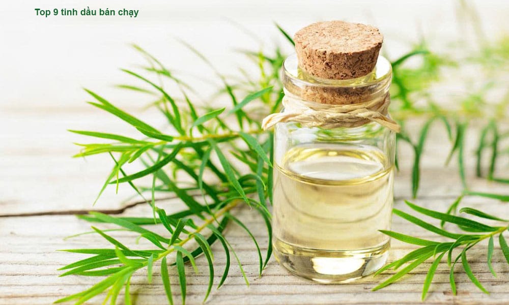 Top 9 tinh dầu bán chạy 2