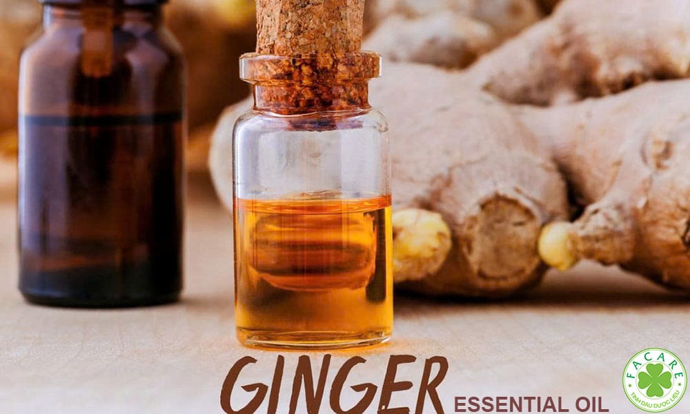 10 Công dụng và khuyến cáo khi sử dụng Tinh Dầu Gừng 3