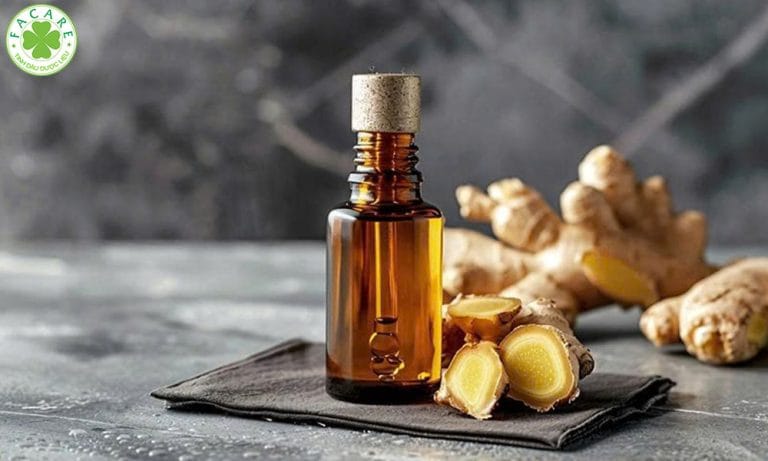 10 Công dụng và khuyến cáo khi sử dụng Tinh Dầu Gừng