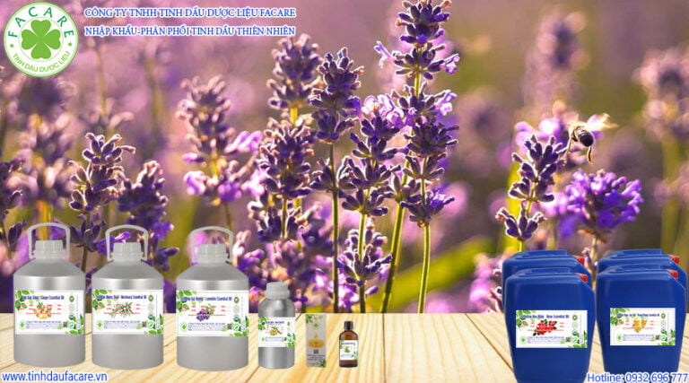 tinh dầu oải hương Lavender