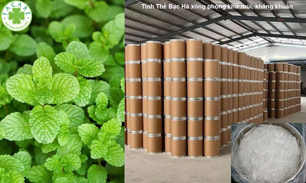 Tinh Thể Bạc Hà xông phòng khử mùi, kháng khuẩn 2