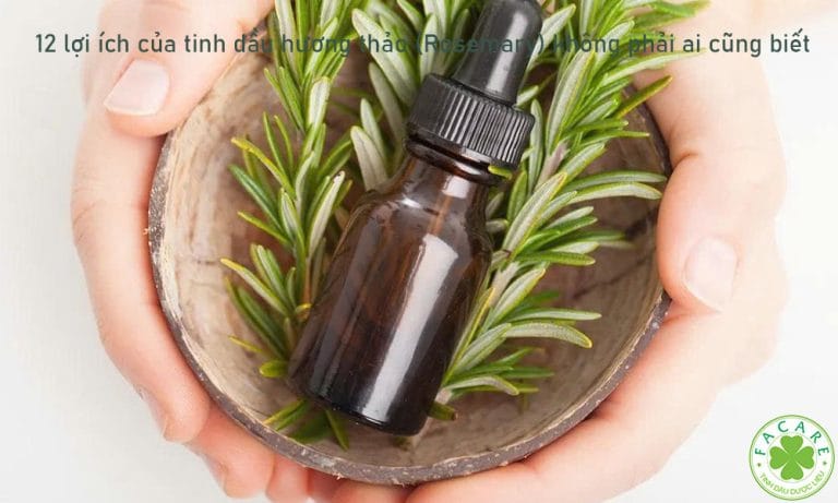 12 lợi ích của tinh dầu hương thảo (Rosemary) không phải ai cũng biết