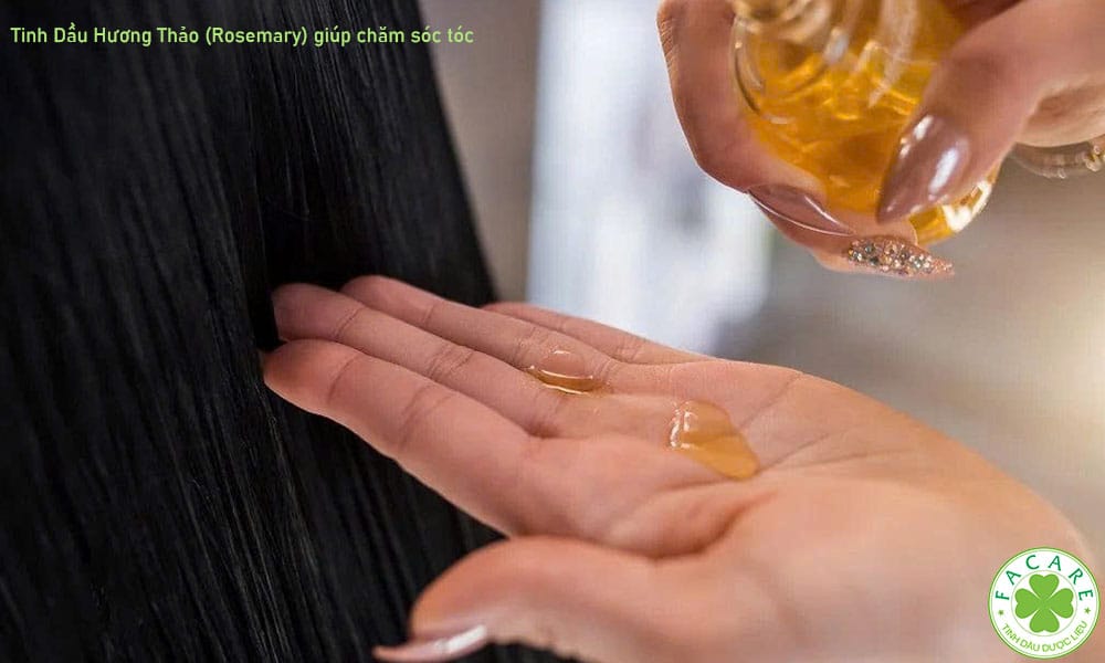 Tinh Dầu Hương Thảo (Rosemary) giúp chăm sóc tóc